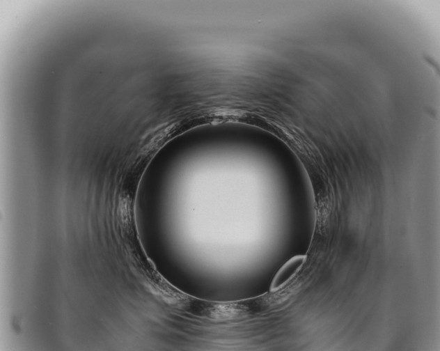 X0000094930623200711291336