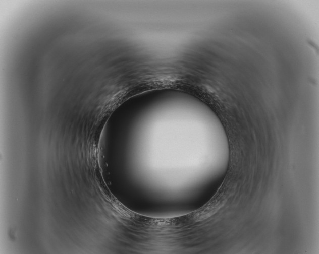X0000094930624200711291336