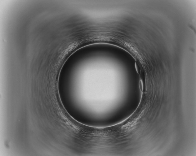 X0000094930625200711291335