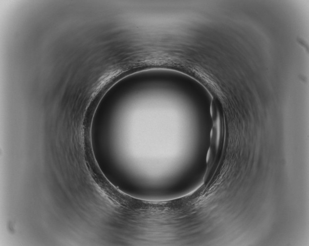 X0000094930626200711291335