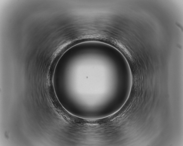 X0000094930628200711291335