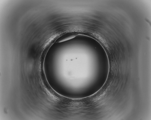 X0000094930629200711291335