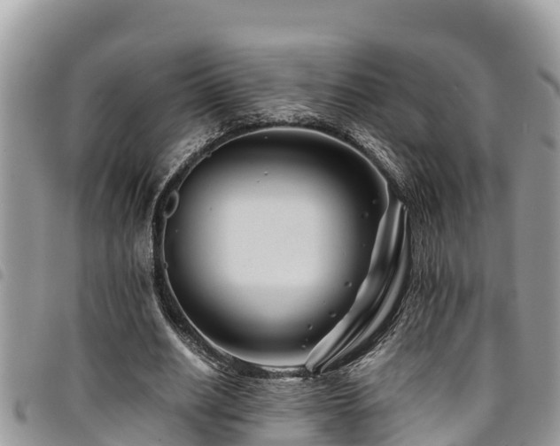 X0000094930630200711291335