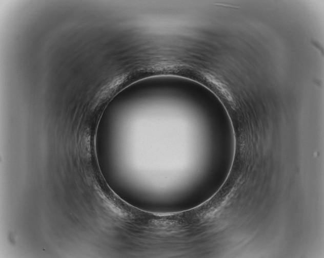X0000094930633200711291335