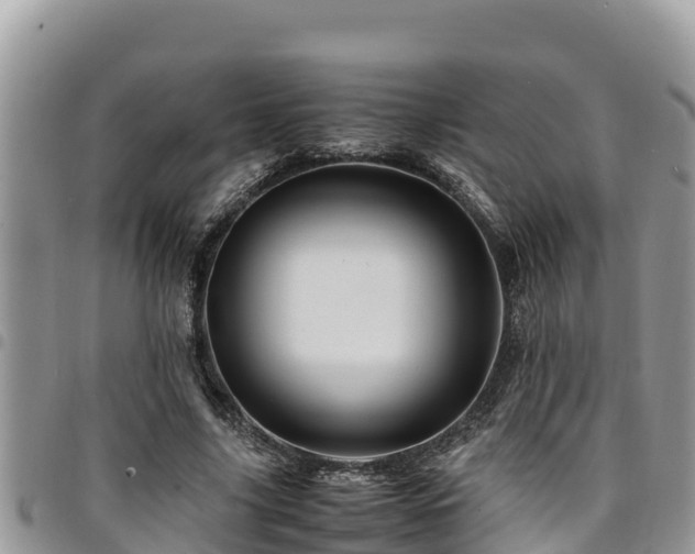 X0000094930635200711291335