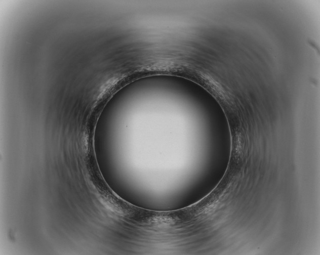 X0000094930636200711291335