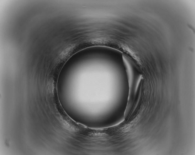 X0000094930637200711291335