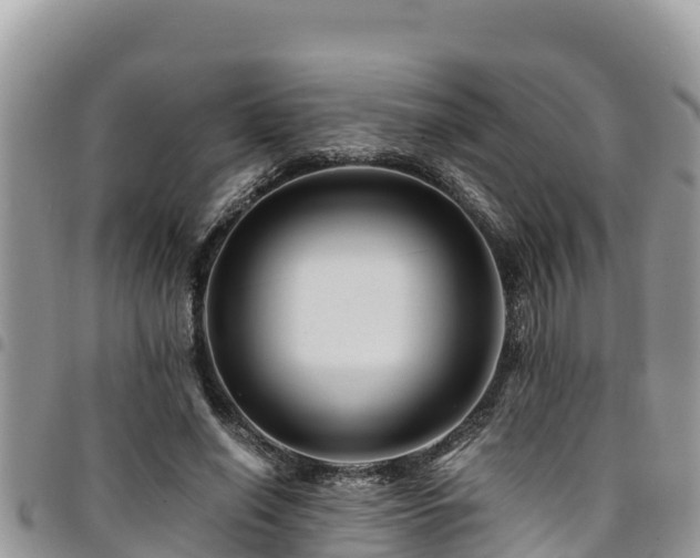 X0000094930638200711291335