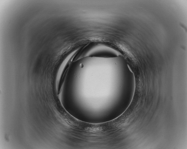 X0000094930639200711291335