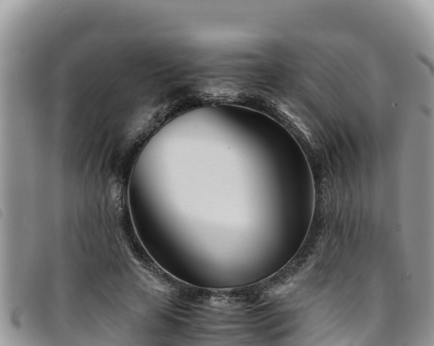 X0000094930641200711291335