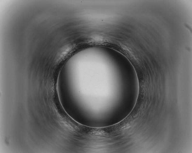 X0000094930642200711291335