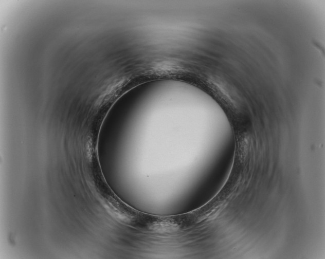 X0000094930644200711291335