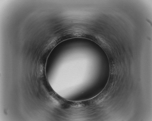 X0000094930646200711291335