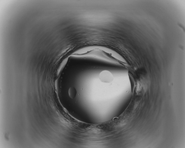 X0000094930648200711291335