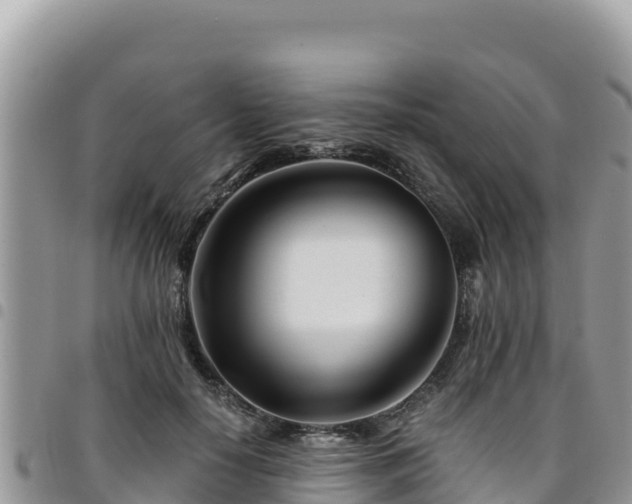 X0000094930650200711291335