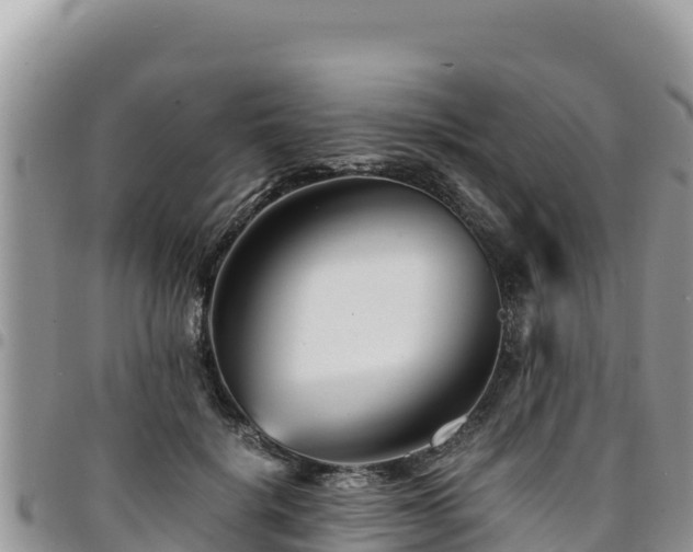 X0000094930652200711291335