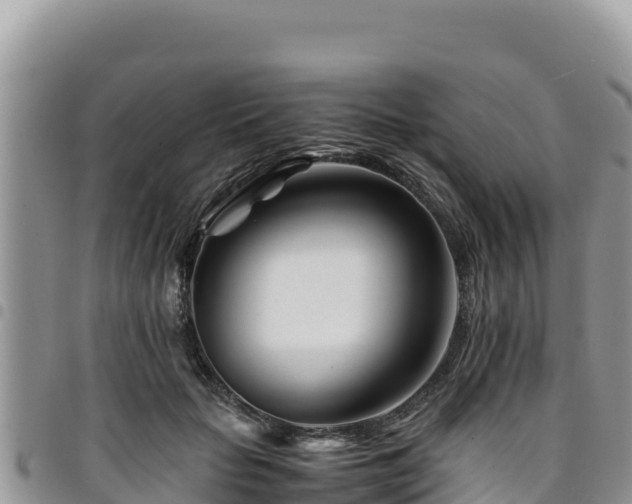 X0000094930653200711291335