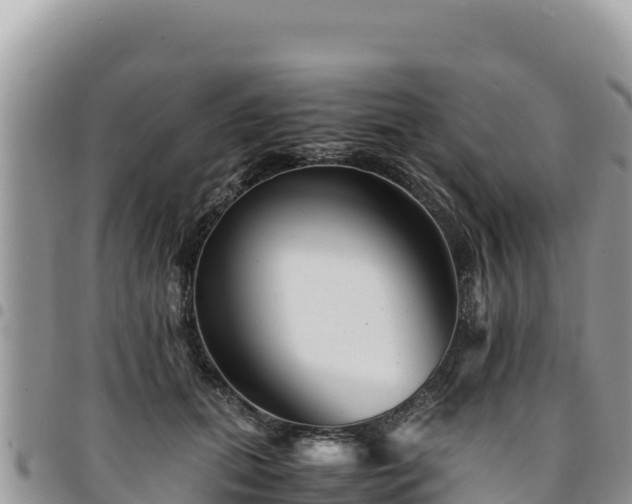 X0000094930655200711291335