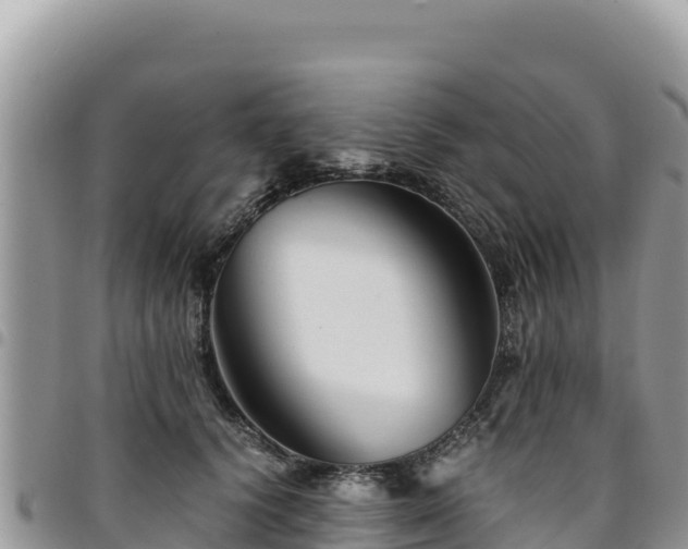 X0000094930656200711291335