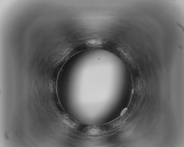 X0000094930658200711291335