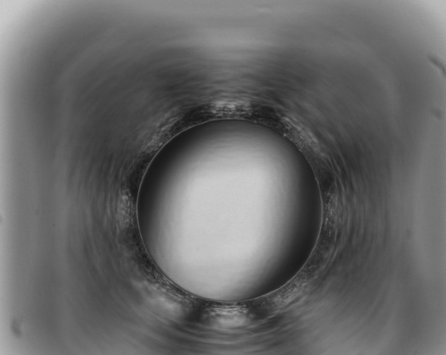 X0000094930659200711291335