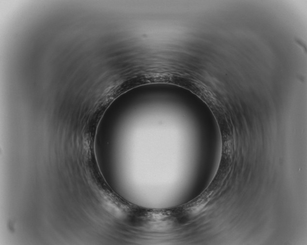 X0000094930662200711291335