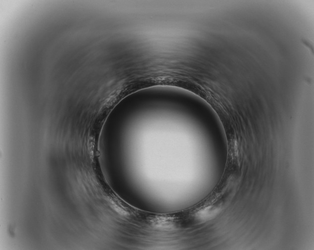 X0000094930664200711291335
