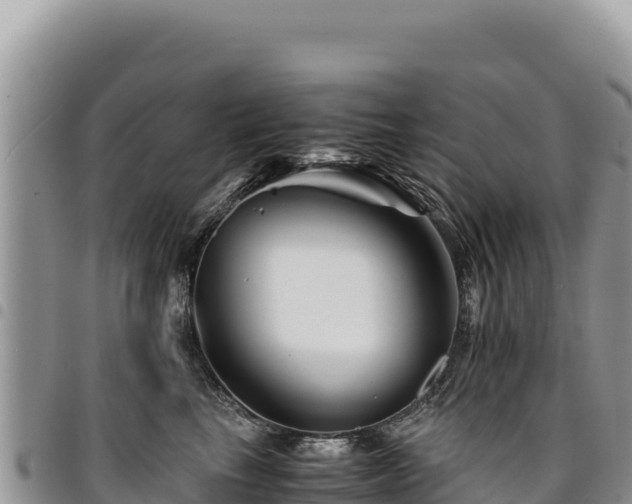X0000094930665200711291335
