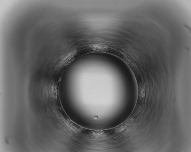 X0000094930666200711291336