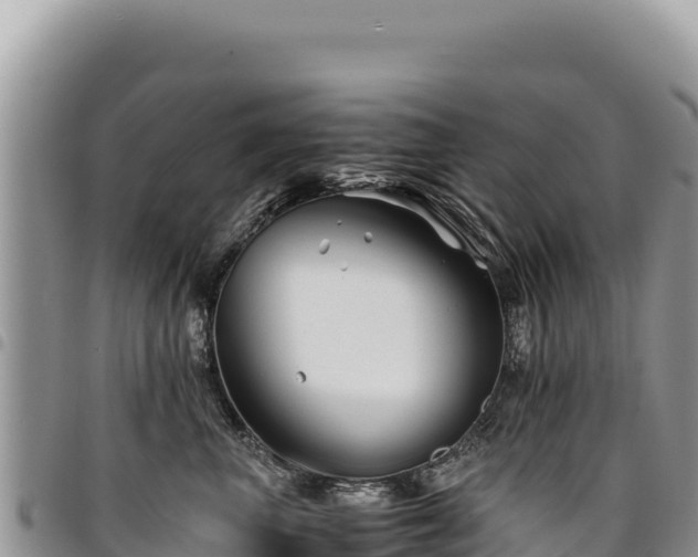 X0000094930667200711291336