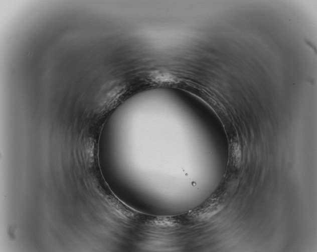 X0000094930668200711291336