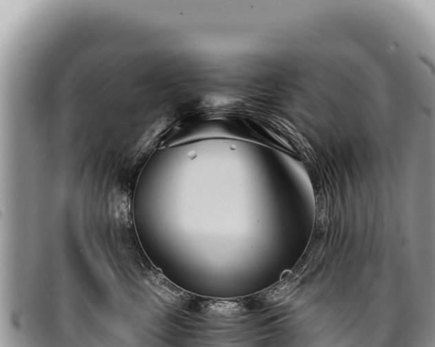 X0000094930669200711291336