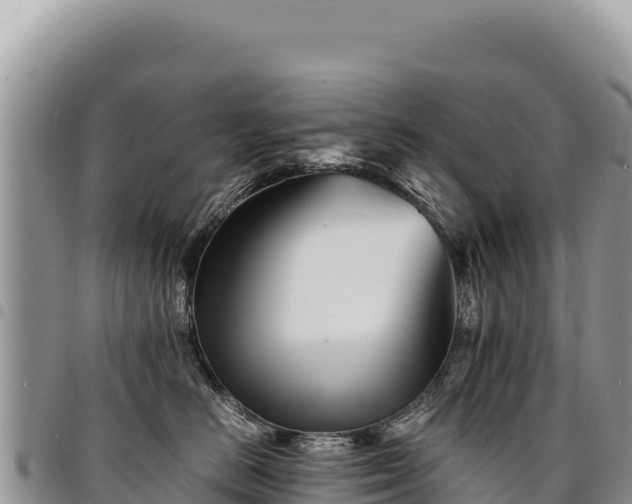X0000094930670200711291336