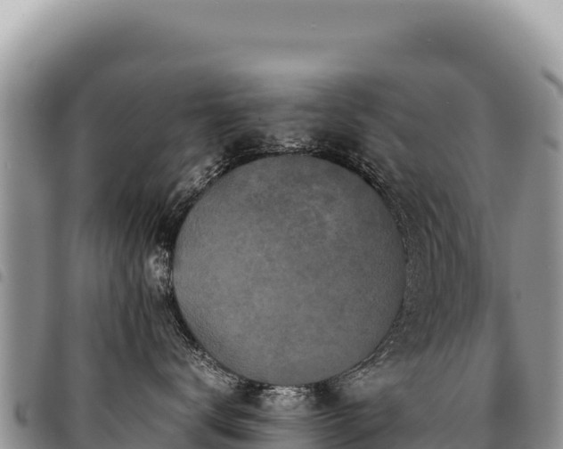 X0000094930672200711291336