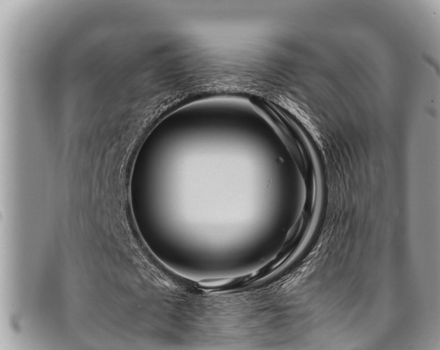X0000094930673200711291335