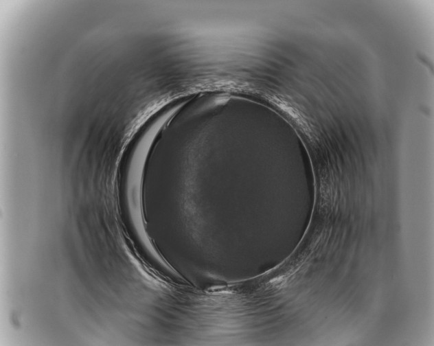 X0000094930674200711291335