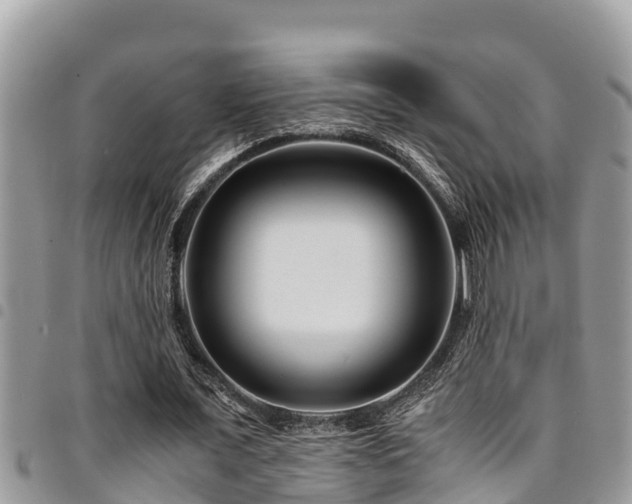 X0000094930675200711291335