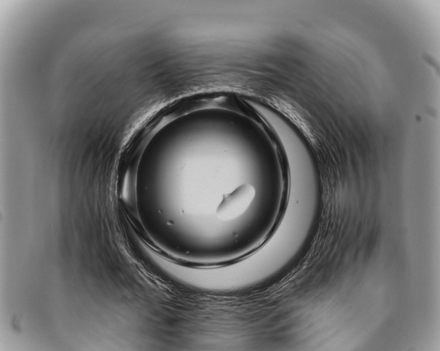 X0000094930676200711291335