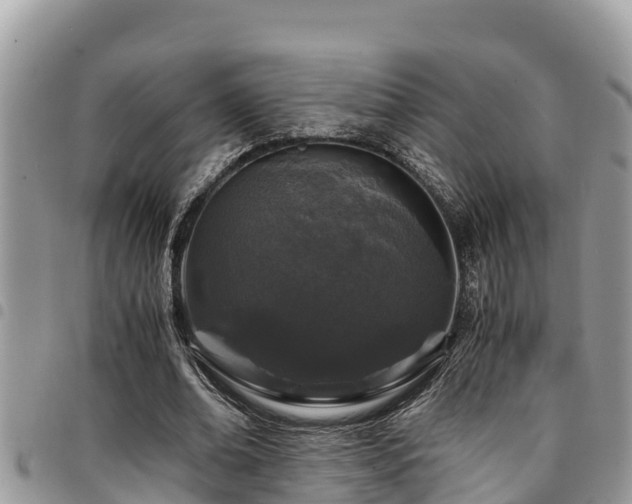 X0000094930678200711291335
