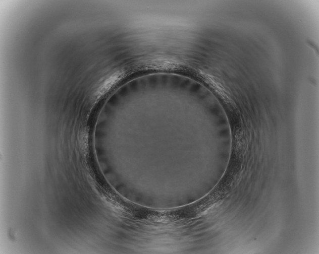 X0000094930679200711291335