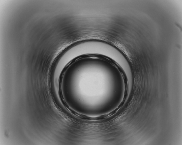X0000094930680200711291335