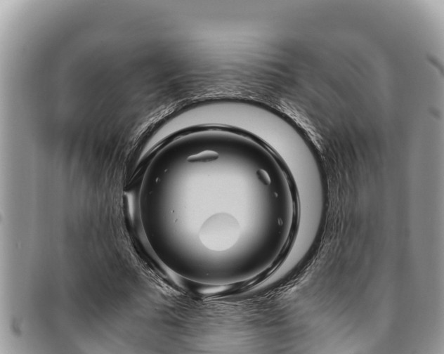 X0000094930681200711291335