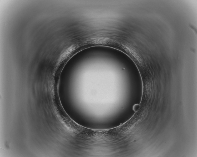 X0000094930682200711291335