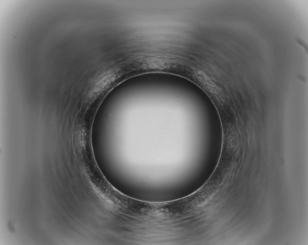 X0000094930683200711291335