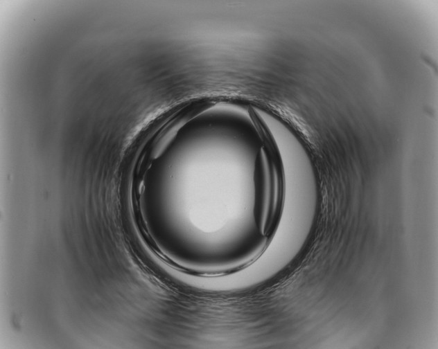 X0000094930684200711291335