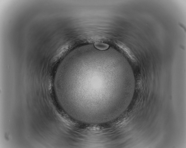 X0000094930687200711291335