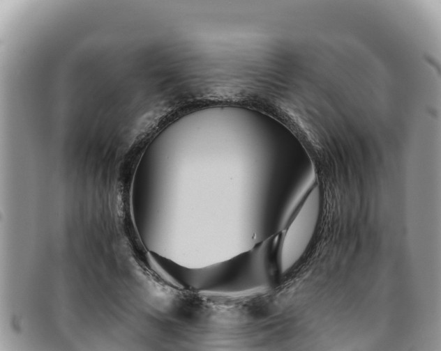 X0000094930688200711291335