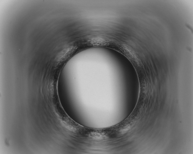 X0000094930690200711291335
