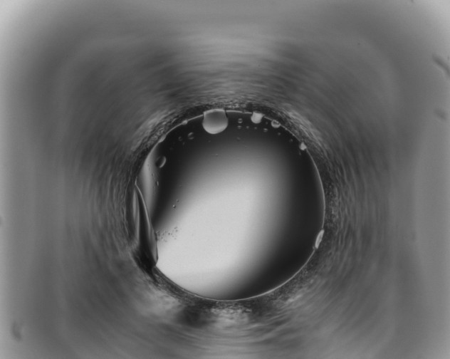 X0000094930693200711291335