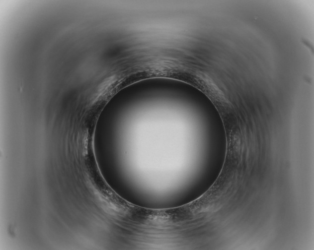 X0000094930694200711291335